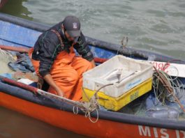 Los resultados de un despojo Los resultados de un despojo