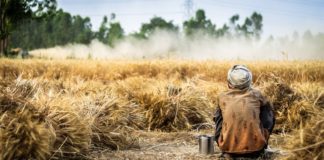 Pentecostés – Fiestas Judías Pentecostés - Fiestas Judías