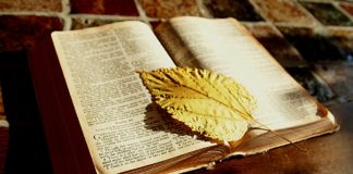 La unicidad de Dios La unicidad de Dios