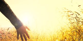 La suficiencia de Jesús La suficiencia de Jesús