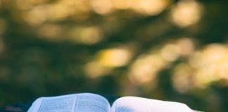 ¿Quién me conoce? ¿Quién me conoce?