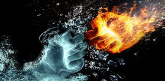 Luchando por un premio Luchando por un premio