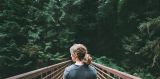 Avívame en tu camino Avívame en tu camino