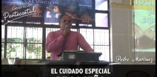 El cuidado especial de la viña