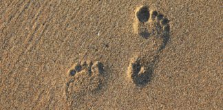 Las huellas de Dios en un adorador Las huellas de Dios en un adorador