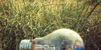 Será que hay alguno Será que hay alguno