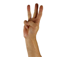 La doctrina de la unicidad La doctrina de la unicidad