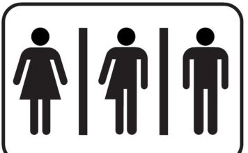 El corazón de los jóvenes El corazón de los jóvenes