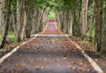 Para llegar a la meta hay que tomar el camino correcto Para llegar a la meta hay que tomar el camino correcto