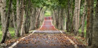 Para llegar a la meta hay que tomar el camino correcto Para llegar a la meta hay que tomar el camino correcto