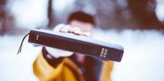 No es por tu título sino por la vocación No es por tu título sino por la vocación