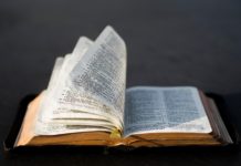 Bibliología del Nuevo Testamento Bibliología del Nuevo Testamento