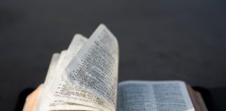 Bibliología del Nuevo Testamento Bibliología del Nuevo Testamento