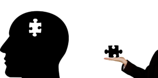 Las cinco entradas al cerebro Las cinco entradas del cerebro