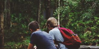 La armonía no puede ser aparente La armonía no puede ser aparente