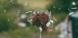 La salvación no es una cosa instantánea La salvación no es una cosa instantánea