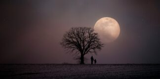 Quién es el hijo de Dios Quién es el hijo de Dios