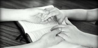 La santidad no es una opción La santidad no es una opción