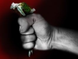 Cómo Dios protege a sus hijos Cómo Dios protege a sus hijos